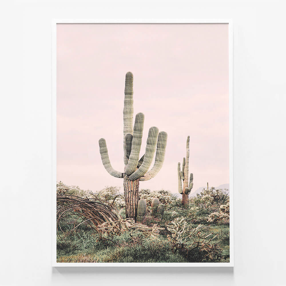 Pink Saguaro