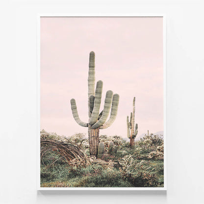 Pink Saguaro