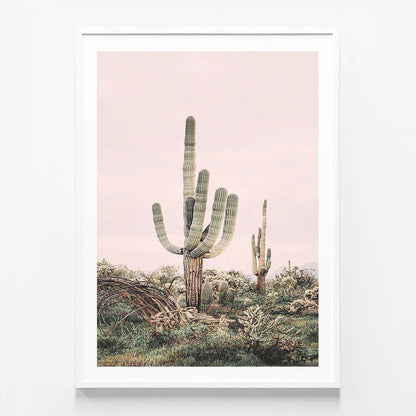 Pink Saguaro