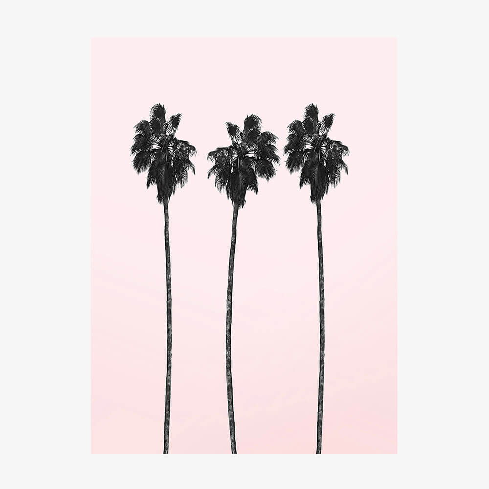 Pinky Palms