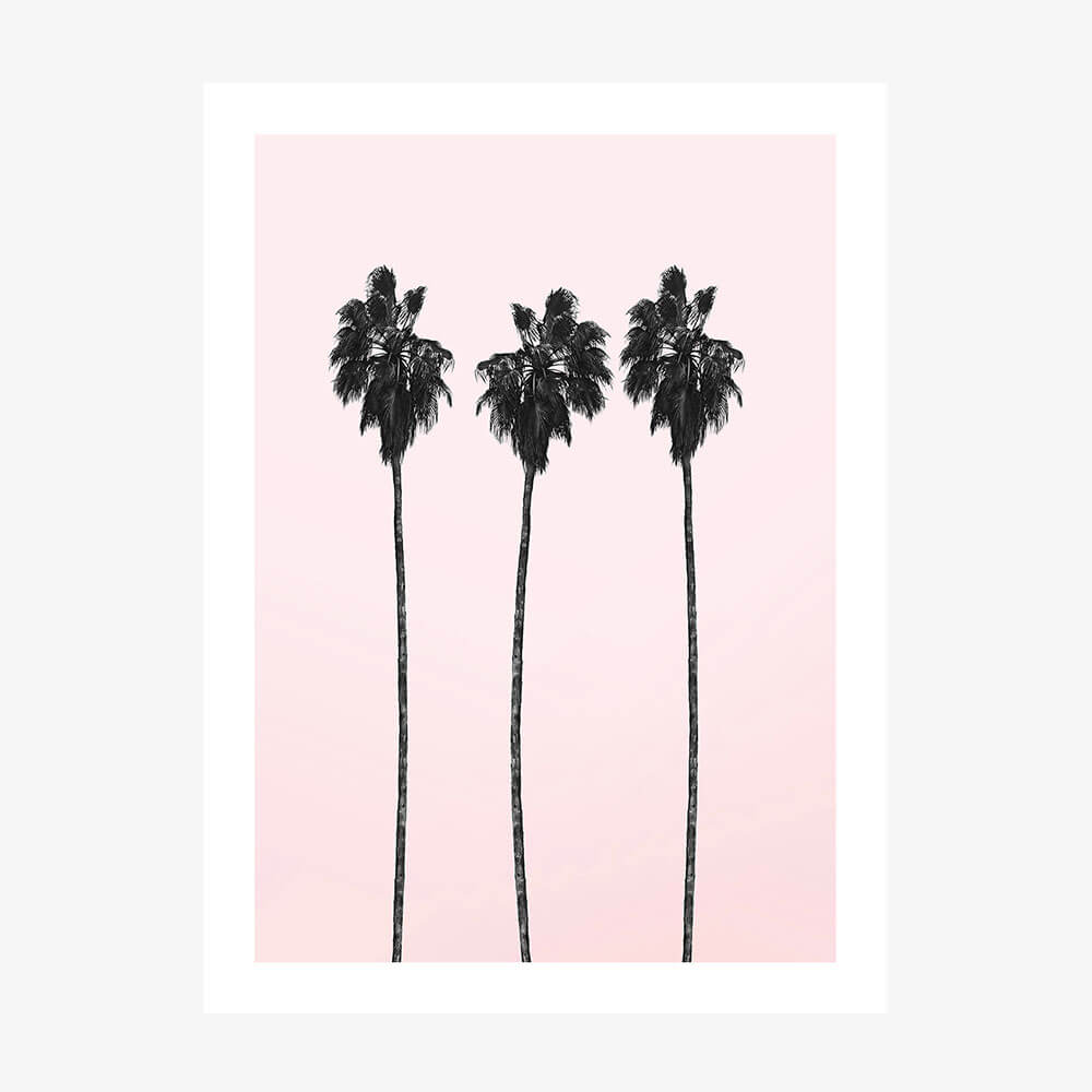 Pinky Palms