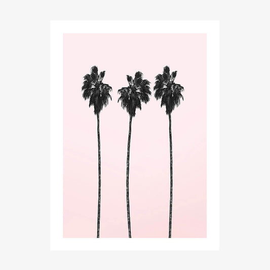 Pinky Palms