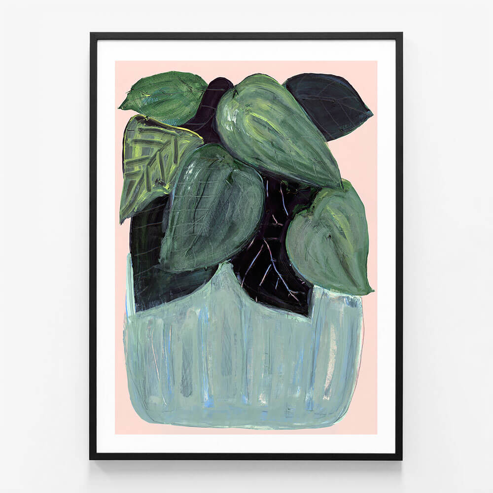 Potted Plant