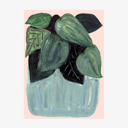 Potted Plant