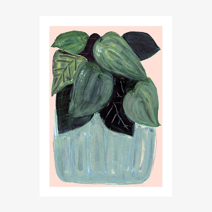 Potted Plant