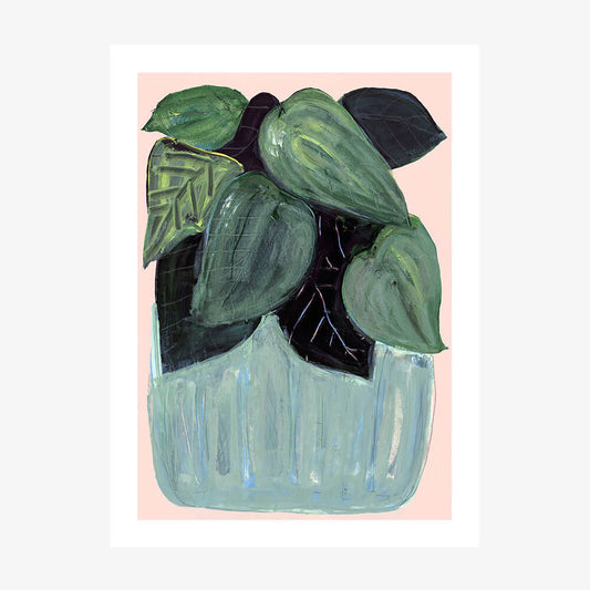 Potted Plant