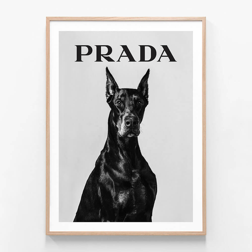 Prada Doberman
