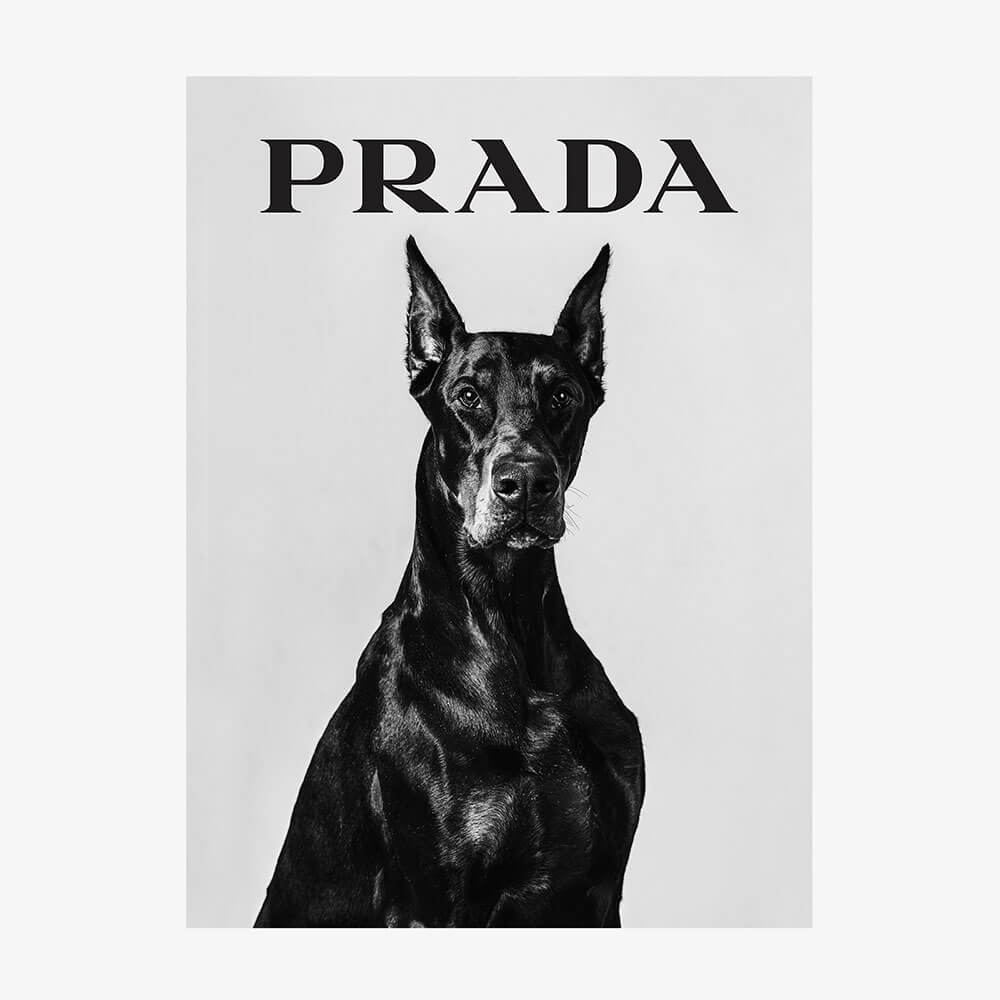 Prada Doberman