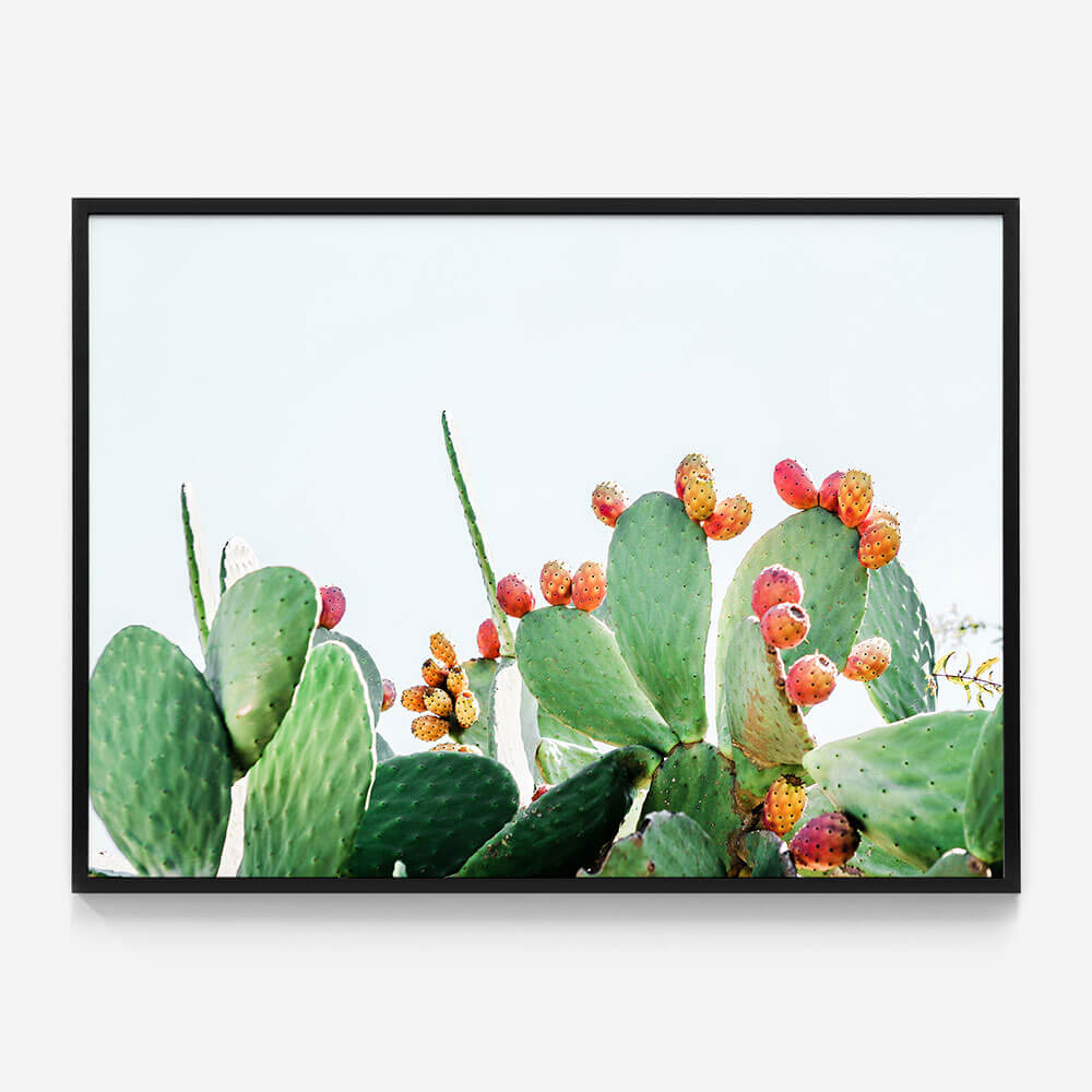 Prickly Fruits