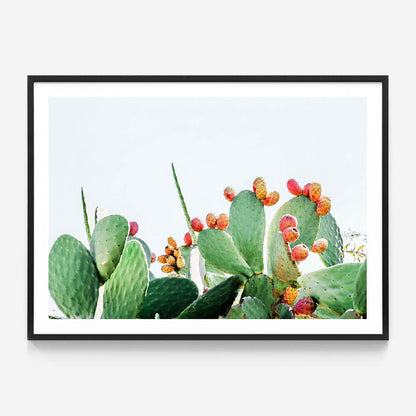 Prickly Fruits