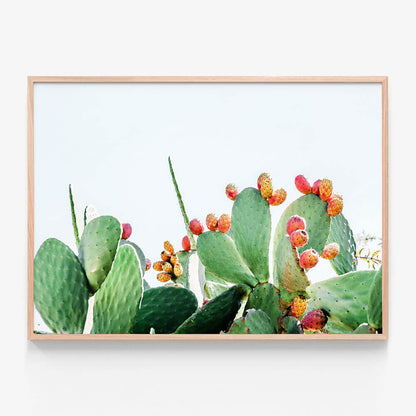 Prickly Fruits
