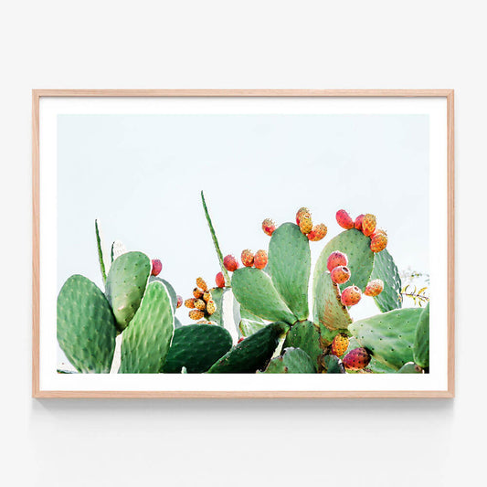 Prickly Fruits