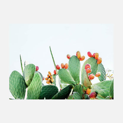 Prickly Fruits