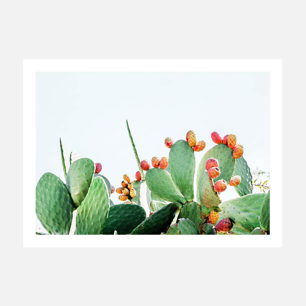 Prickly Fruits