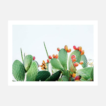Prickly Fruits