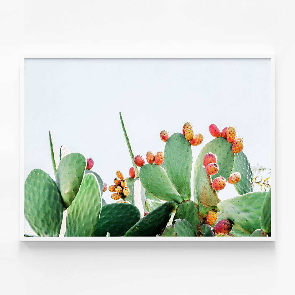 Prickly Fruits