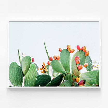Prickly Fruits