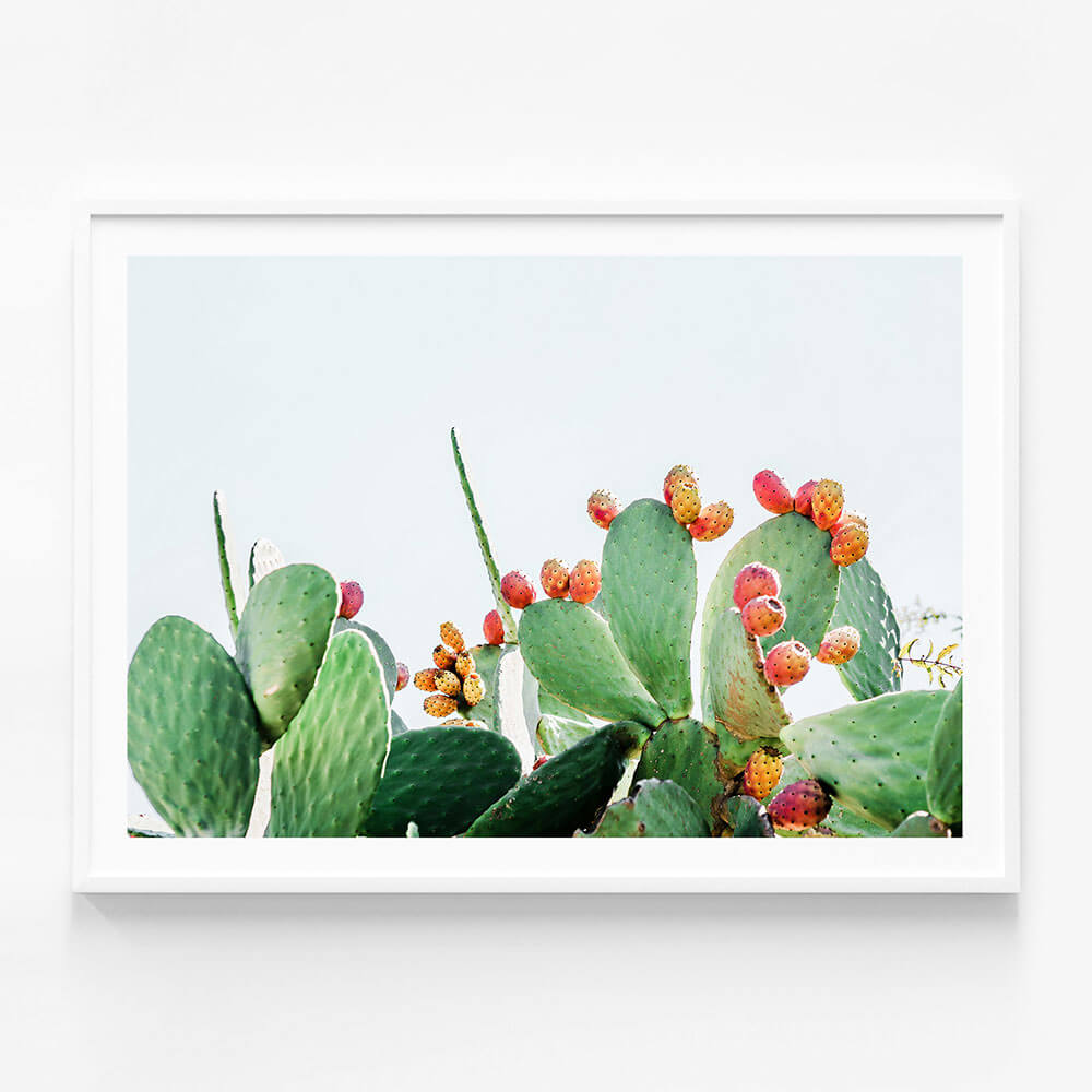 Prickly Fruits