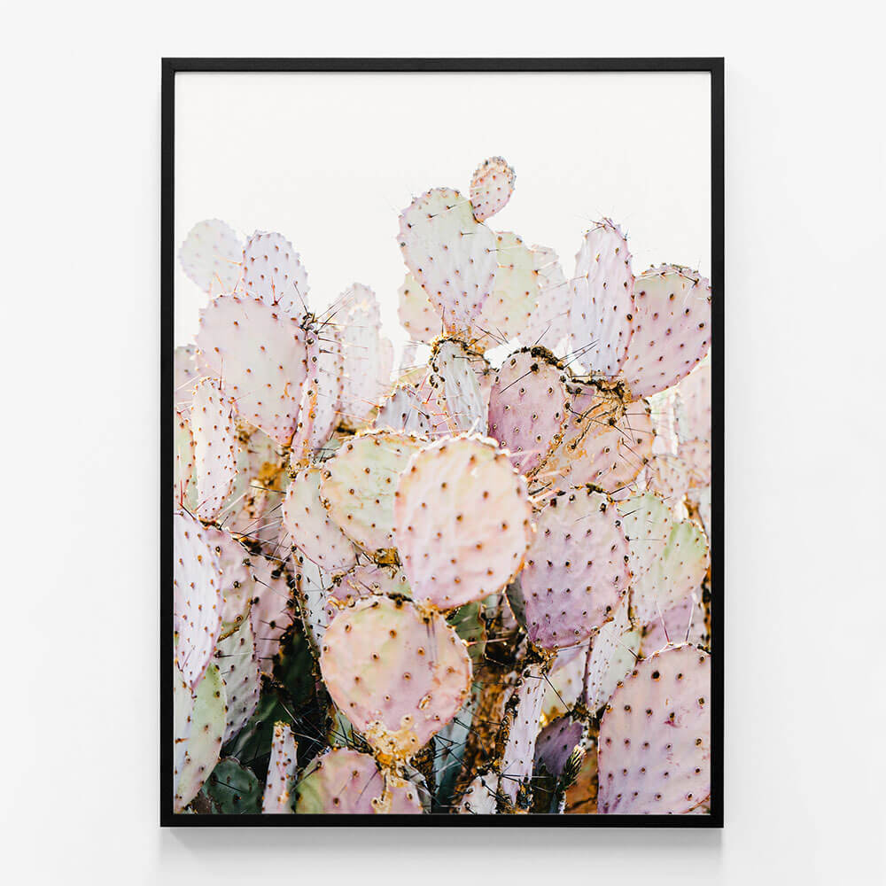 Prickly Pink