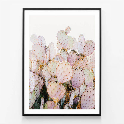 Prickly Pink