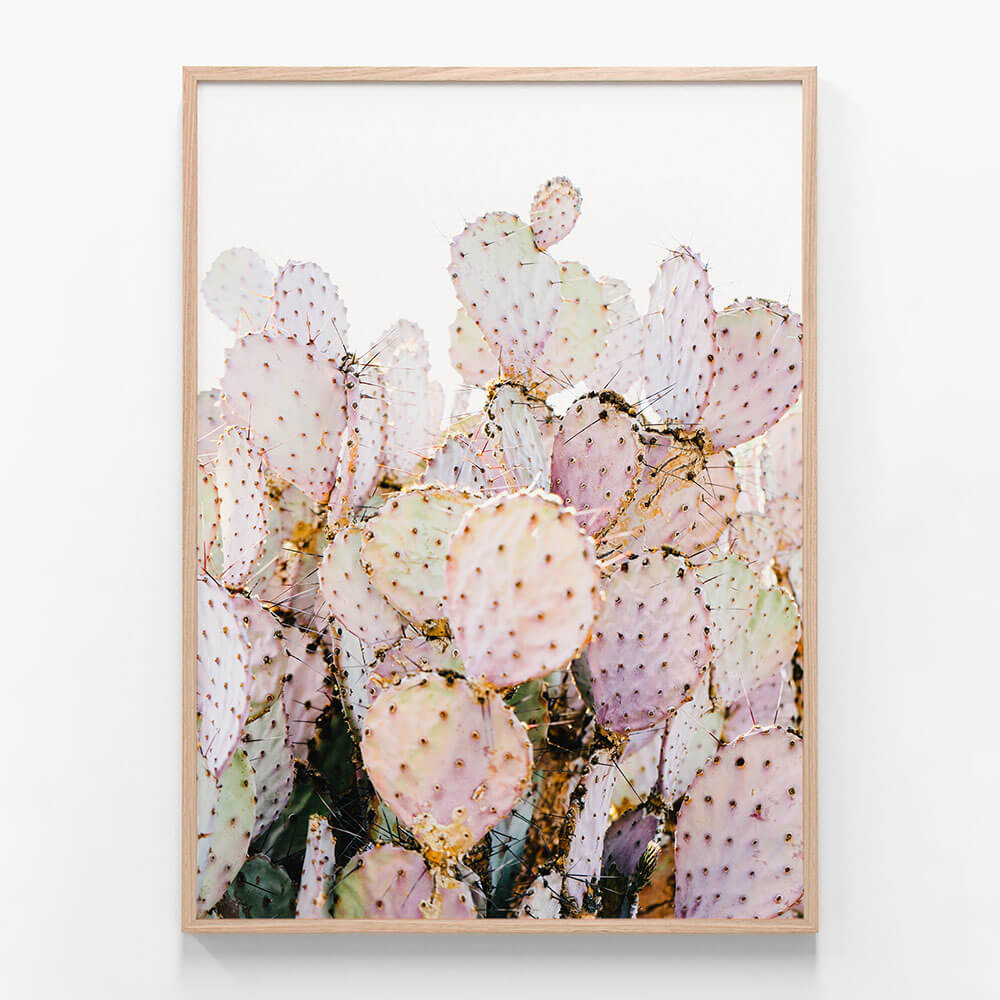 Prickly Pink