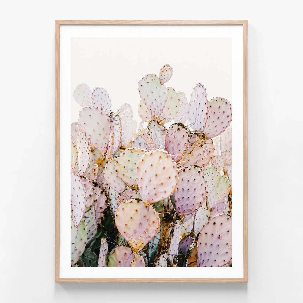 Prickly Pink