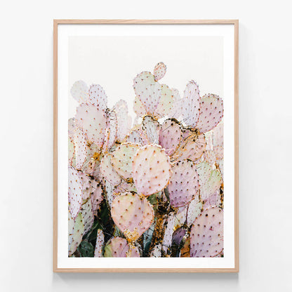 Prickly Pink