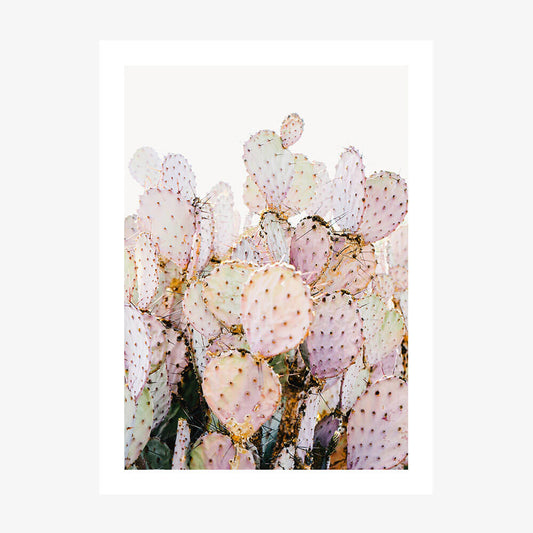 Prickly Pink