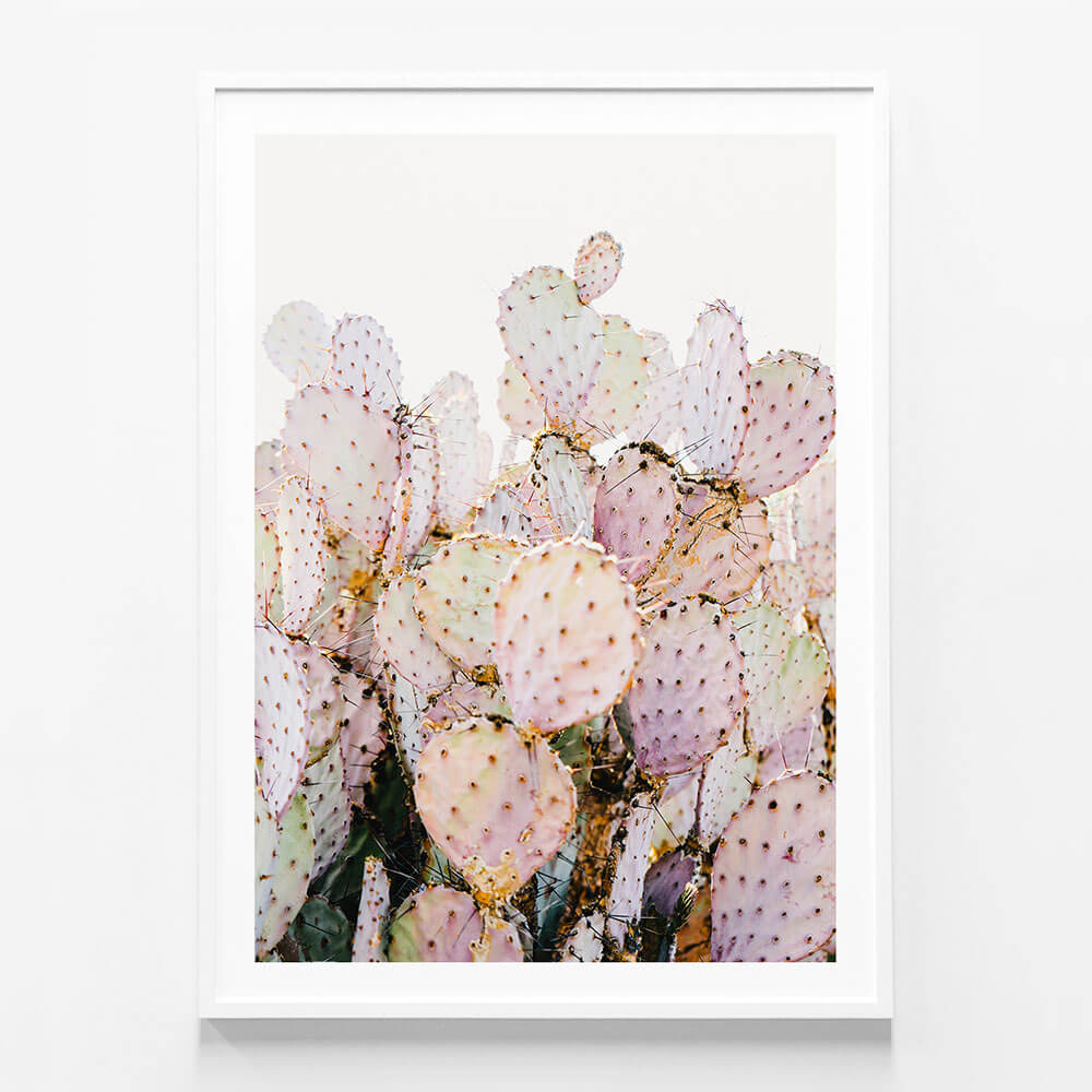 Prickly Pink