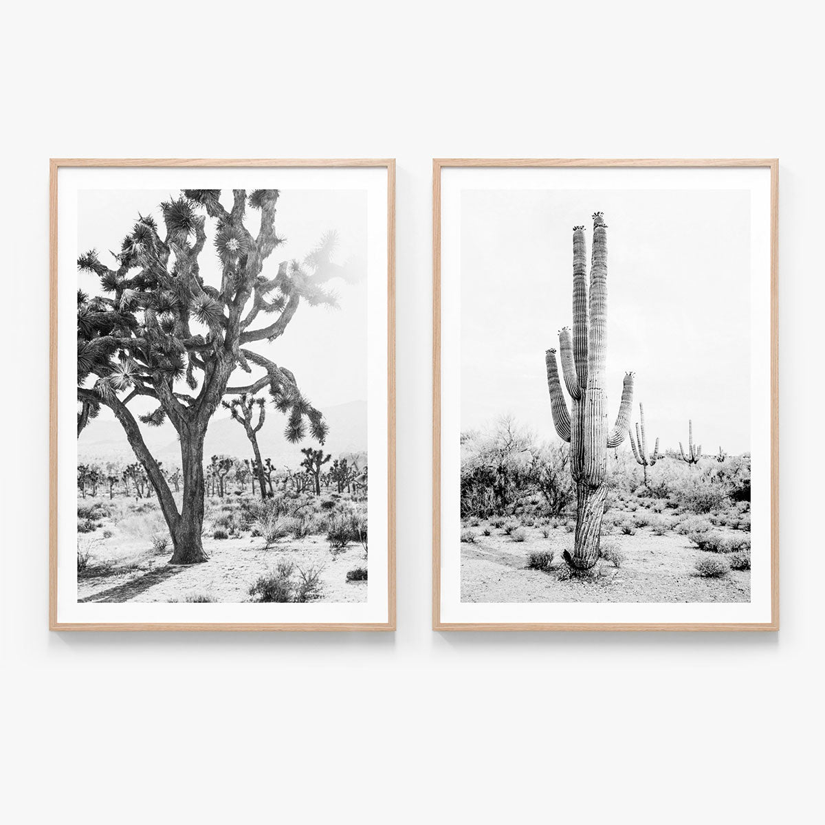 Print Set No. 16