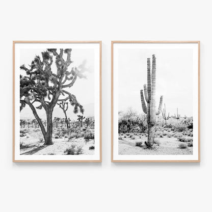 Print Set No. 16