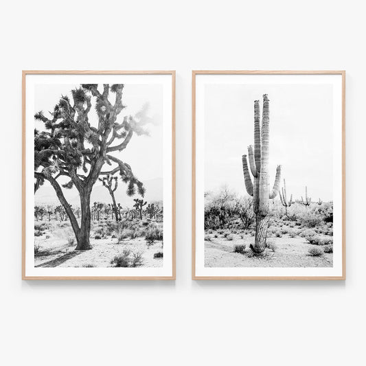 Print Set No. 16