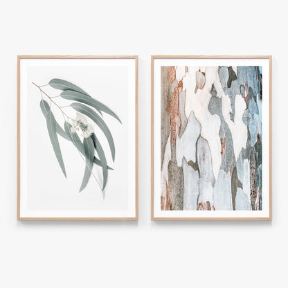 Print Set No. 21