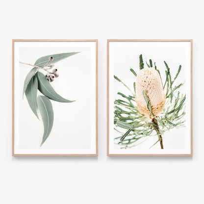 Print Set No. 22