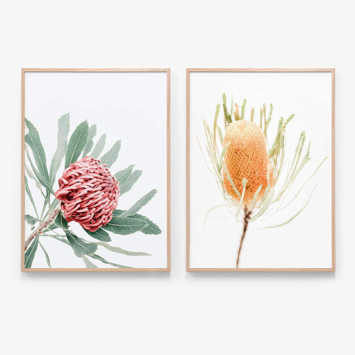 Print Set No. 23