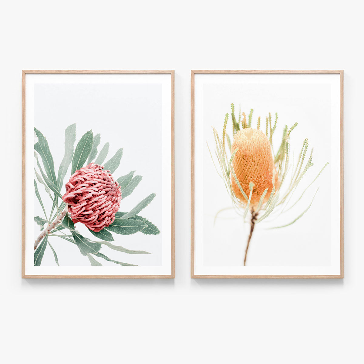 Print Set No. 23