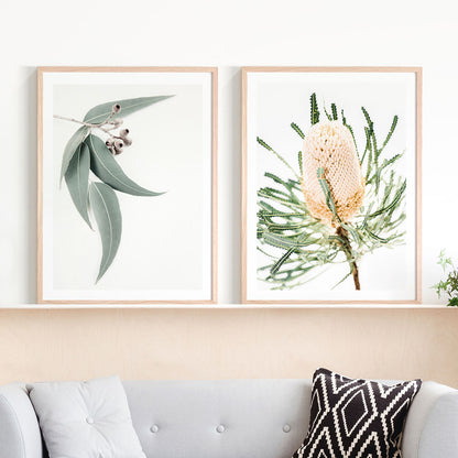 Print Set No. 22