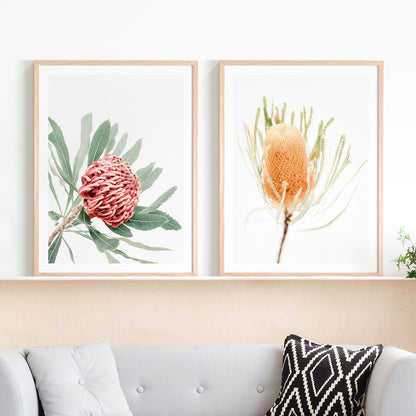Print Set No. 23