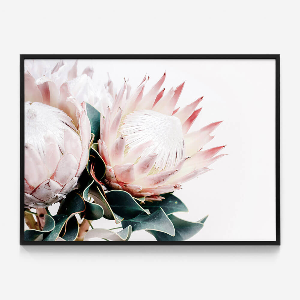 Protea Bouquet