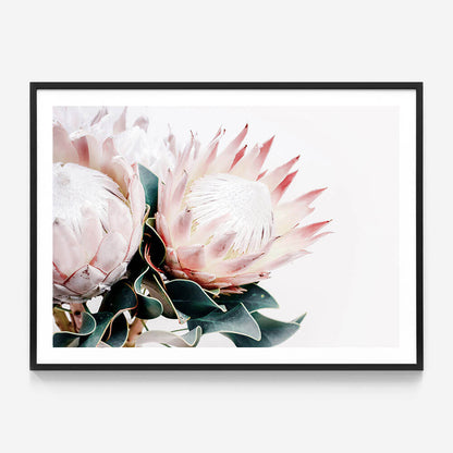 Protea Bouquet
