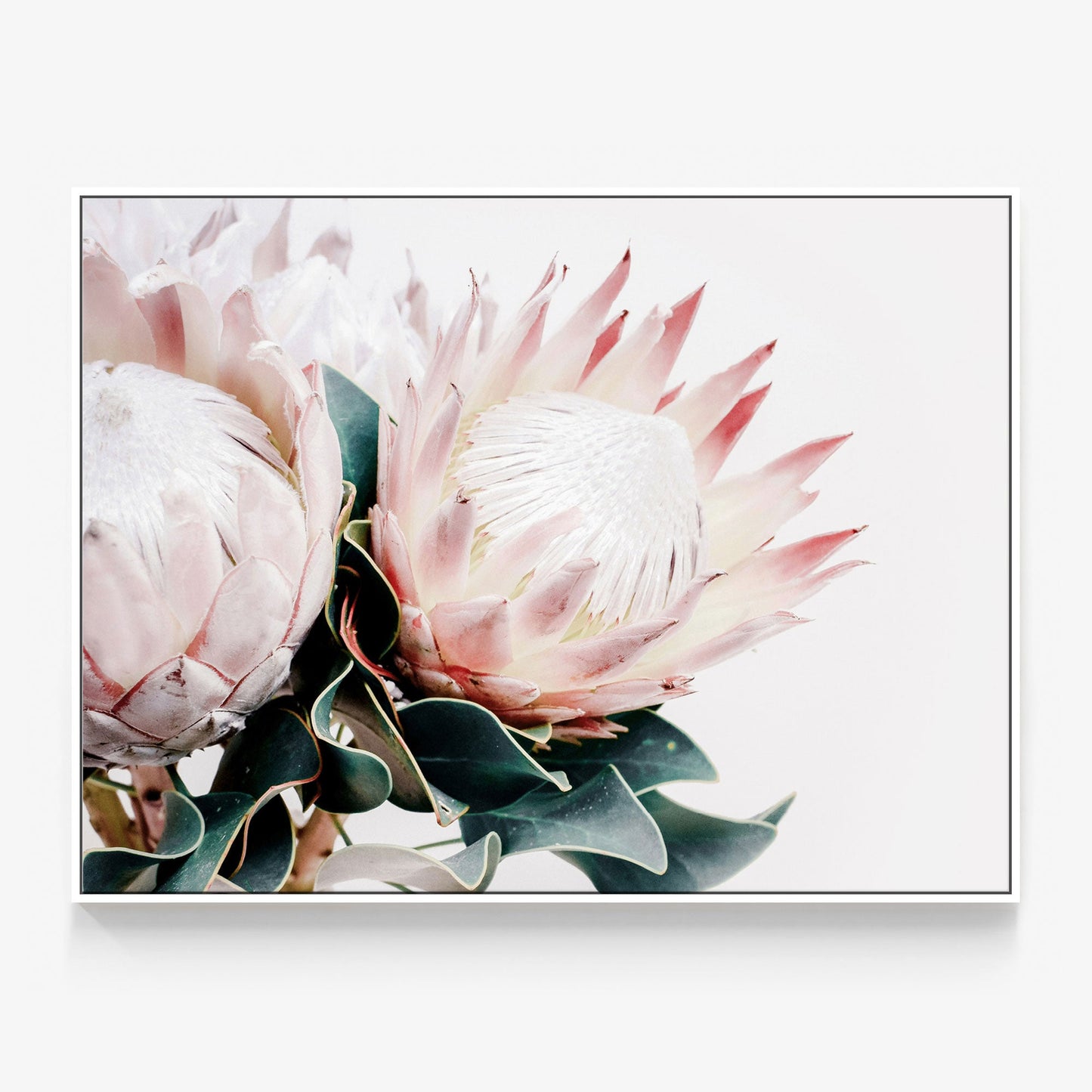 Protea Bouquet Canvas