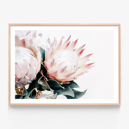 Protea Bouquet