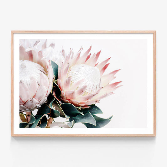 Protea Bouquet