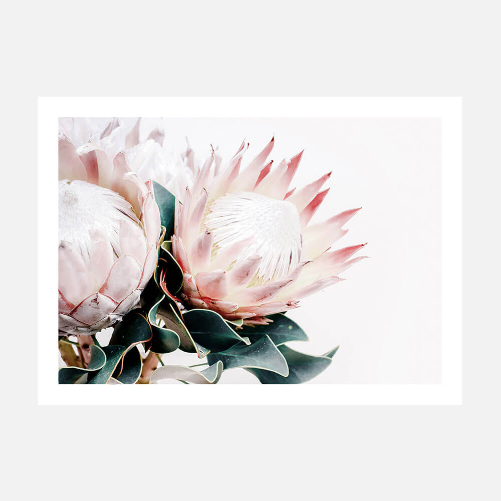 Protea Bouquet