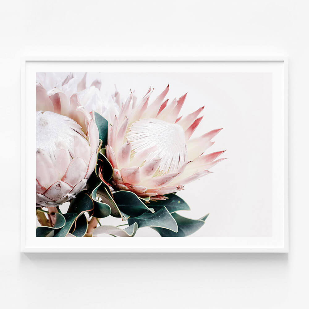 Protea Bouquet