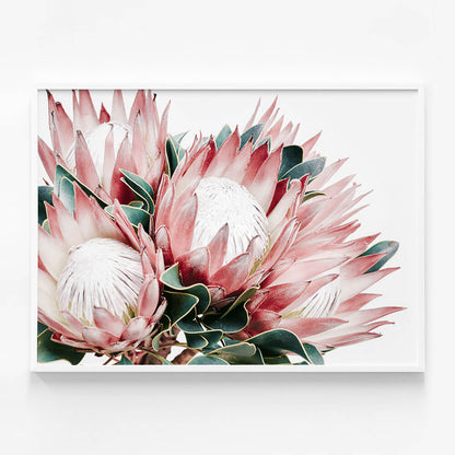 Protea Cluster