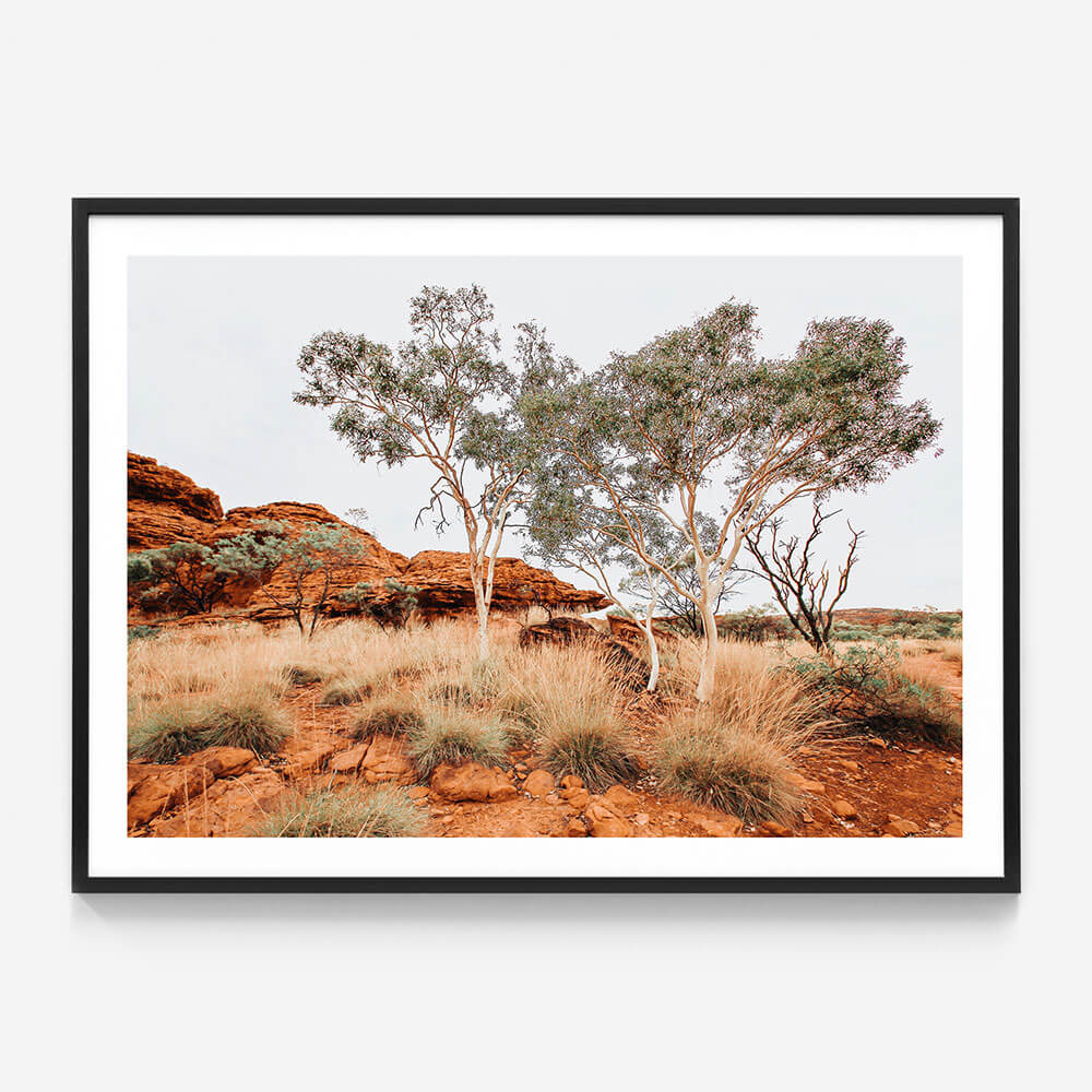 Red Iron Rocks
