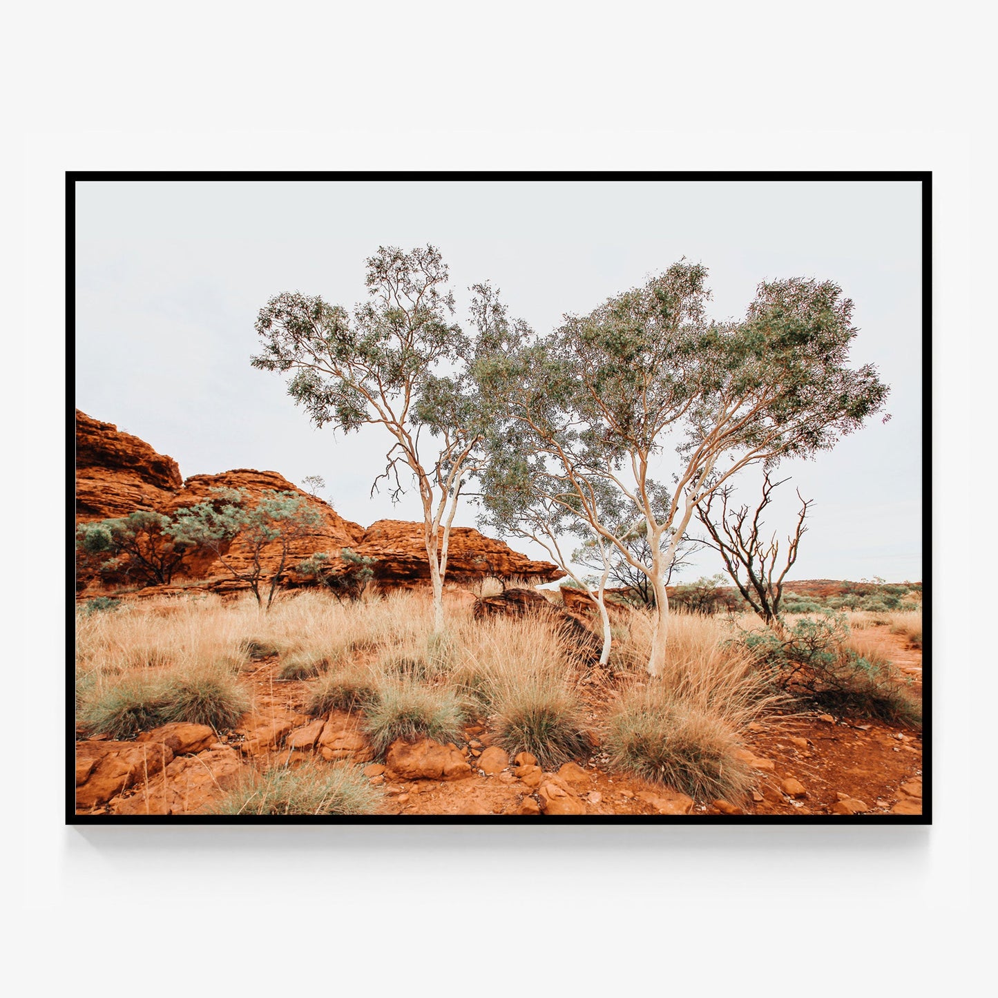 Red Iron Rocks Canvas