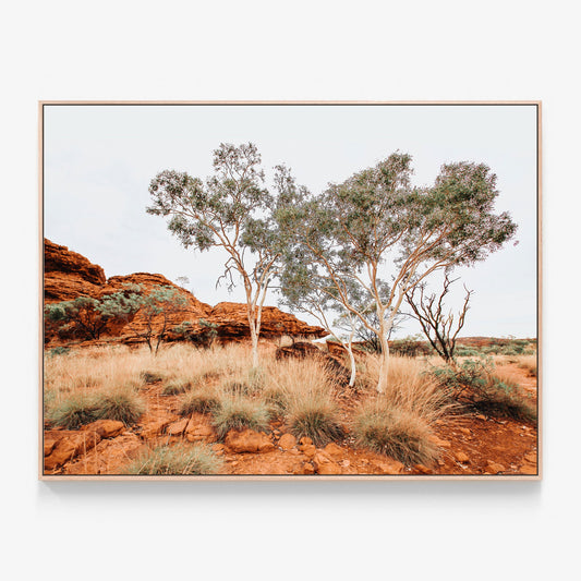 Red Iron Rocks Canvas wall art with oak float frame