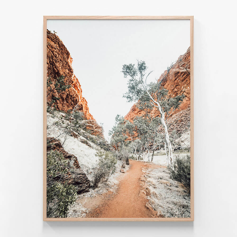 Red Rock Path
